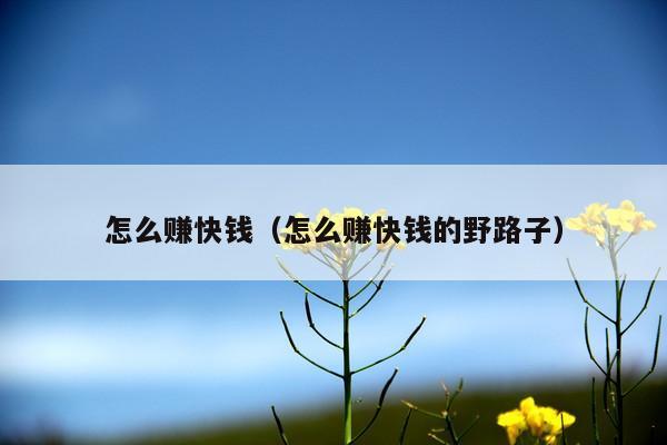 怎么赚快钱(怎么赚快钱的野路子)