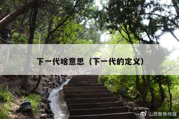 下一代啥意思(下一代的定义)
