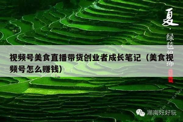 视频号美食直播带货创业者成长笔记(美食视频号怎么赚钱)