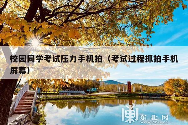 校园同学考试压力手机拍(考试过程抓拍手机屏幕)