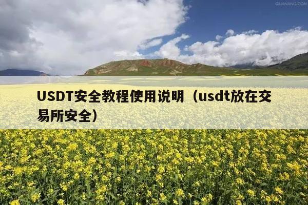 USDT安全教程使用说明(usdt放在交易所安全)