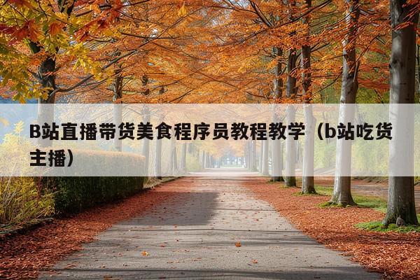 B站直播带货美食程序员教程教学(b站吃货主播)