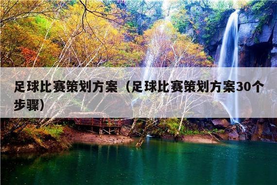 足球比赛策划方案(足球比赛策划方案30个步骤)
