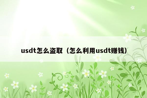 usdt怎么盗取(怎么利用usdt赚钱)