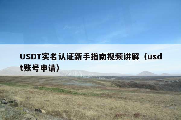 USDT实名认证新手指南视频讲解(usdt账号申请)