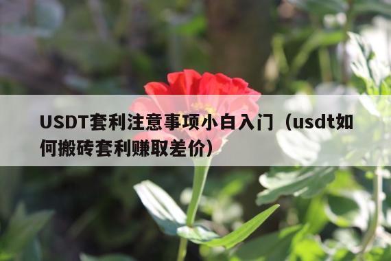 USDT套利注意事项小白入门(usdt如何搬砖套利赚取差价)