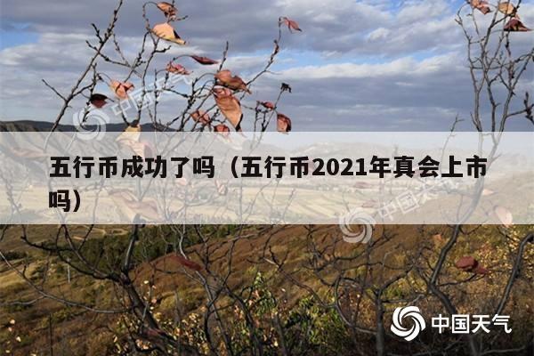 五行币成功了吗(五行币2021年真会上市吗)