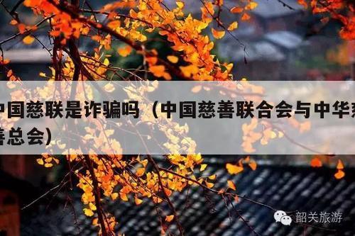 中国慈联是诈骗吗(中国慈善联合会与中华慈善总会)