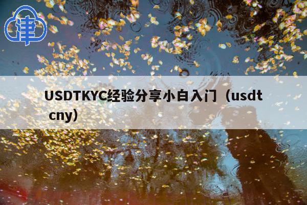 USDTKYC经验分享小白入门(usdt cny)