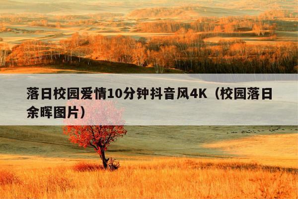 落日校园爱情10分钟抖音风4K(校园落日余晖图片)