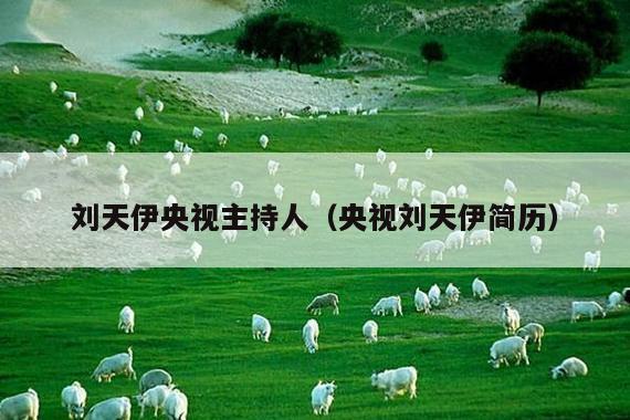 刘天伊央视主持人(央视刘天伊简历)