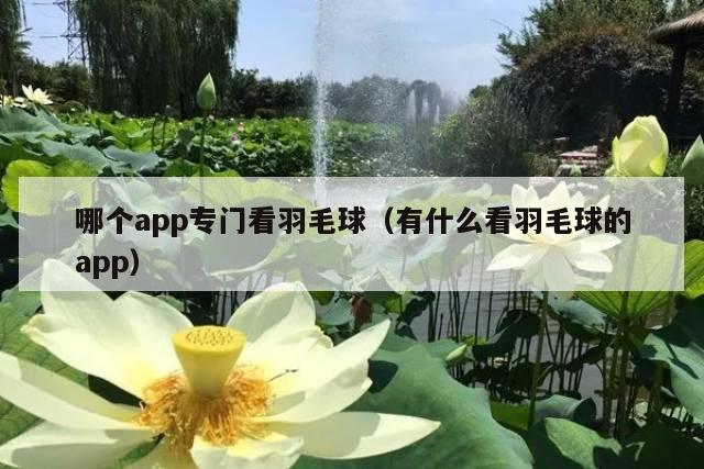 哪个app专门看羽毛球(有什么看羽毛球的app)