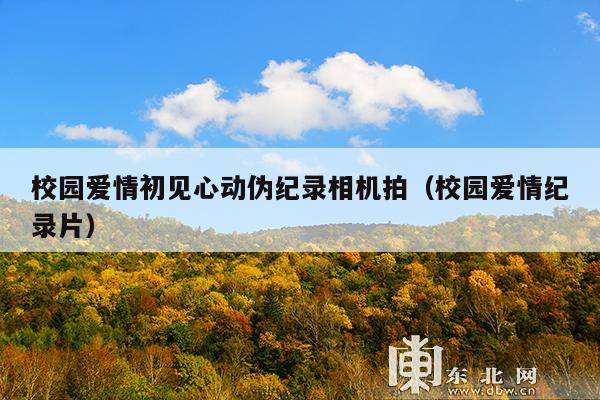 校园爱情初见心动伪纪录相机拍(校园爱情纪录片)