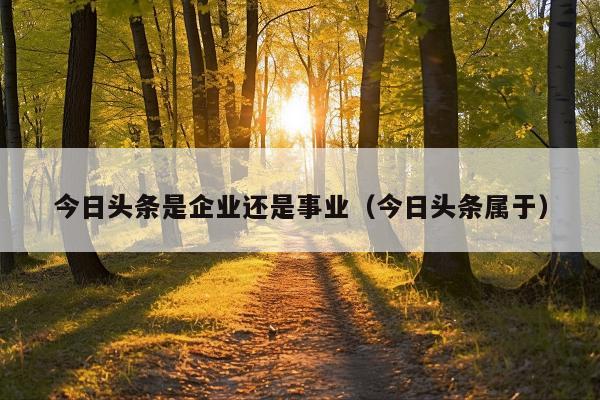 今日头条是企业还是事业(今日头条属于)