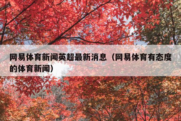 网易体育新闻英超最新消息(网易体育有态度的体育新闻)