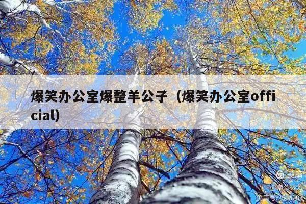 爆笑办公室爆整羊公子(爆笑办公室official)