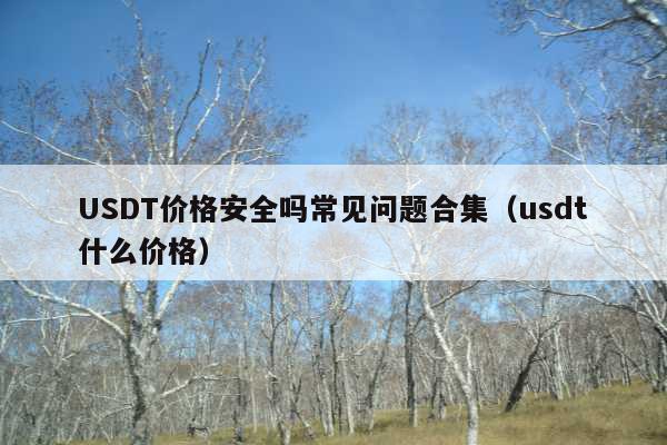USDT价格安全吗常见问题合集(usdt什么价格)