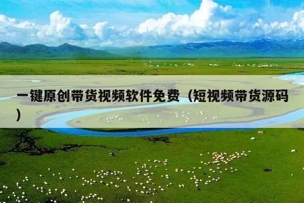 一键原创带货视频软件免费(短视频带货源码)