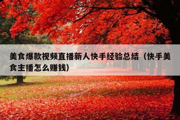美食爆款视频直播新人快手经验总结(快手美食主播怎么赚钱)