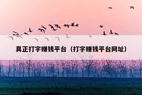 真正打字赚钱平台(打字赚钱平台网址)