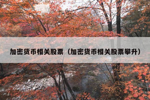 加密货币相关股票(加密货币相关股票攀升)