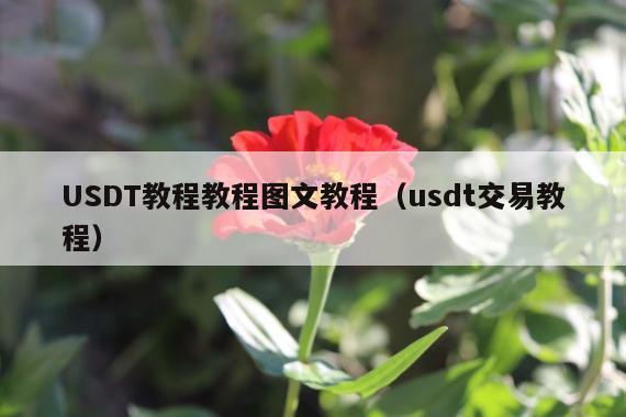 USDT教程教程图文教程(usdt交易教程)