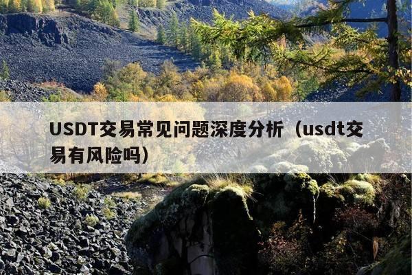 USDT交易常见问题深度分析(usdt交易有风险吗)