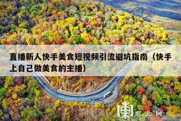 直播新人快手美食短视频引流避坑指南(快手上自己做美食的主播)