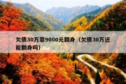 欠债30万靠9000元翻身（欠债30万还能翻身吗）