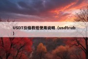 USDT价格教程使用说明（usdtrub）