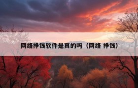 网络挣钱软件是真的吗（网络 挣钱）