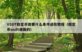 USDT稳定币需要什么条件进阶教程（稳定币usdt谁做的）