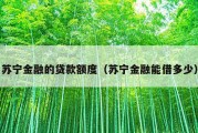 苏宁金融的贷款额度（苏宁金融能借多少）