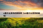 u是什么货币的简称啊（un是什么货币的缩写）