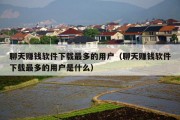 聊天赚钱软件下载最多的用户（聊天赚钱软件下载最多的用户是什么）