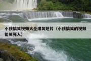 小孩搞笑视频大全爆笑短片（小孩搞笑的视频能笑死人）