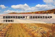 恶搞视频突然变叫声了（恶搞视频突然变叫声了警察和）