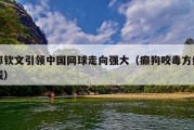 郑钦文引领中国网球走向强大（癫狗咬毒方组成）