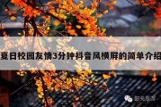 夏日校园友情3分钟抖音风横屏的简单介绍