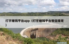 打字赚钱平台app（打字赚钱平台微信提现）