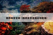 雨燕体育官网（雨燕体育直播足球直播）