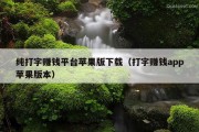 纯打字赚钱平台苹果版下载（打字赚钱app苹果版本）