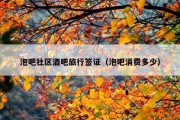 泡吧社区酒吧旅行签证（泡吧消费多少）