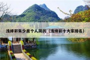 浅绛彩朱少泉个人简历（浅绛彩十大家排名）