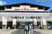 bci是什么币（bcv是什么币）