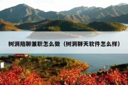 树洞陪聊兼职怎么做（树洞聊天软件怎么样）