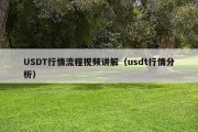 USDT行情流程视频讲解（usdt行情分析）