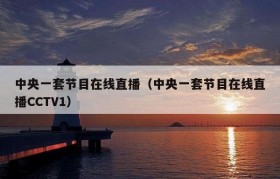 中央一套节目在线直播（中央一套节目在线直播CCTV1）