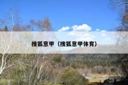 搜狐意甲（搜狐意甲体育）