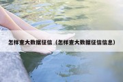 怎样查大数据征信（怎样查大数据征信信息）